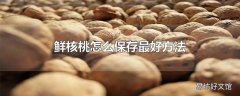 鲜核桃怎么保存最好方法