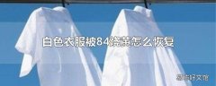 白色衣服被84烧黄怎么恢复