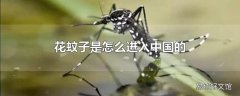 花蚊子是怎么进入中国的