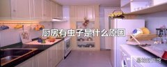 厨房有虫子是什么原因