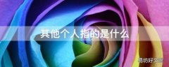 其他个人指的是什么