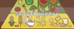 营养成分表中的能量是什么