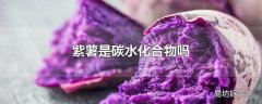 紫薯是碳水化合物吗