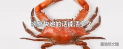 螃蟹快递的话能活多久