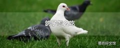 鸽子怎么吃