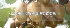 怎样让猕猴桃快速变软变熟