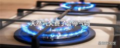 天然气欠费了会停气吗