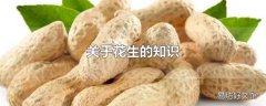 关于花生的知识