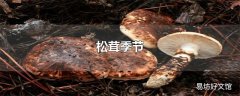 松茸季节