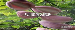 八月瓜怎么吃法