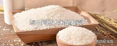 怎么判断大米是发霉了