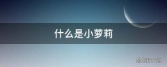 什么是小萝莉