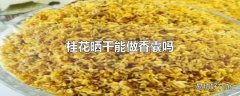 桂花晒干能做香囊吗