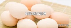 鸡蛋脂肪高吗