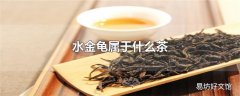 水金龟属于什么茶