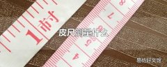 皮尺测量什么