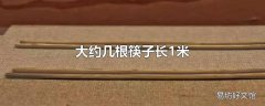大约几根筷子长1米
