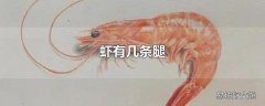 虾有几条腿