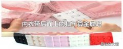 内衣带后面上的扣子算金属吗