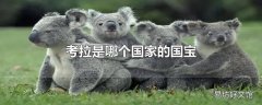 考拉是哪个国家的国宝