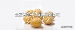 土豆长芽子了削去还能吃吗