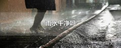 雨水干净吗