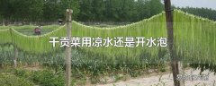 干贡菜用凉水还是开水泡