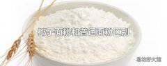 椰子面粉和普通面粉区别