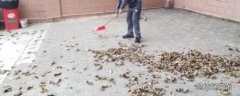 扫地吉祥语