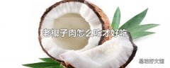 老椰子肉怎么吃才好吃