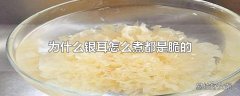 为什么银耳怎么煮都是脆的