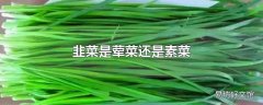 韭菜是荤菜还是素菜