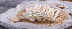 白玉菇怎么洗