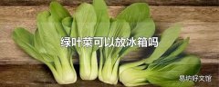 绿叶菜可以放冰箱吗