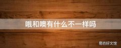 哦和噢有什么不一样吗