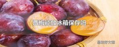 西梅能放冰箱保存吗