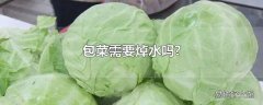 包菜需要焯水吗?