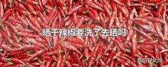 晒干辣椒要洗了去晒吗