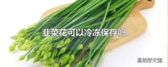 韭菜花可以冷冻保存吗