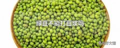 绿豆不能打豆浆吗