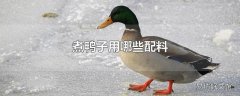 煮鸭子用哪些配料