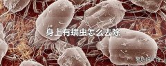 身上有螨虫怎么去除