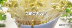 芽苗菜怎么吃