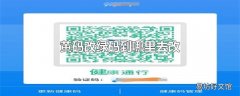 黄码改绿码到哪里去改