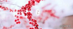 立冬冷冬天冷不冷