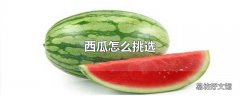 西瓜怎么挑选
