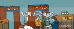 飞机可以带充电宝吗