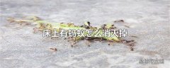 床上有蚂蚁怎么消灭掉