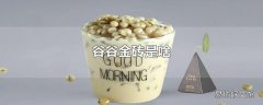 谷谷金砖是啥