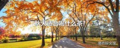 秋天适合喝什么茶?